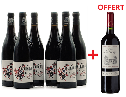 Bourgueil Sur le Fruit Audebert X 6