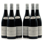 Bourgueil Domaine du Grand Clos Audebert et Fils X 6