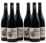 Bourgueil Sur le Fruit Audebert X 6