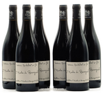 Saint Nicolas de Bourgueil Audebert X 6