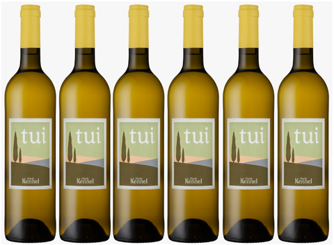 Provence blanc Tui - Domaine Kennel X 6