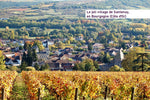Santenay vieilles vignes 2017 - Domaine Girardin